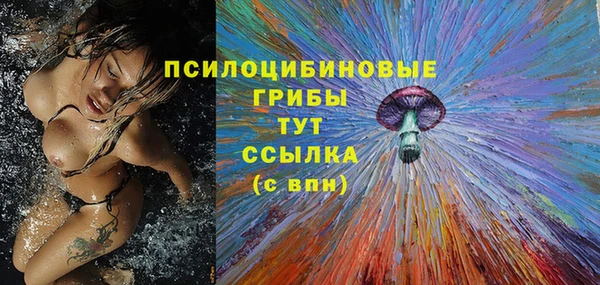 прущая мука Няндома