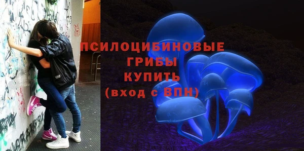 твердый Нязепетровск