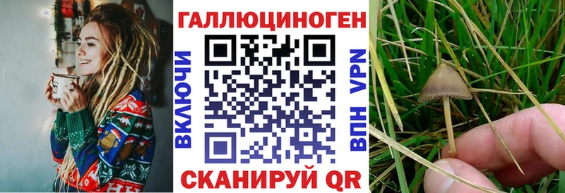 Галлюциногенные грибы GOLDEN TEACHER mega ссылка Кола